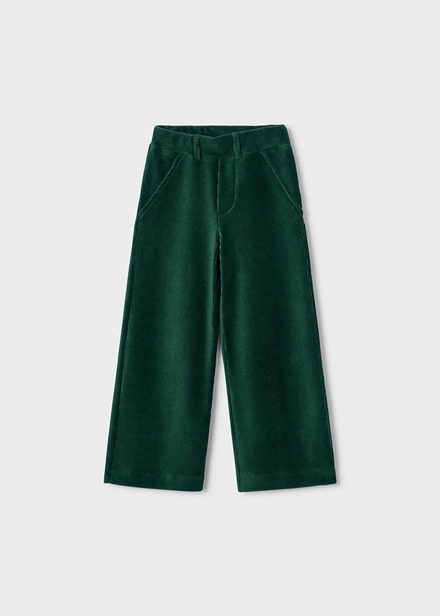 Jewel Tone Todddler Knit Pants 4524