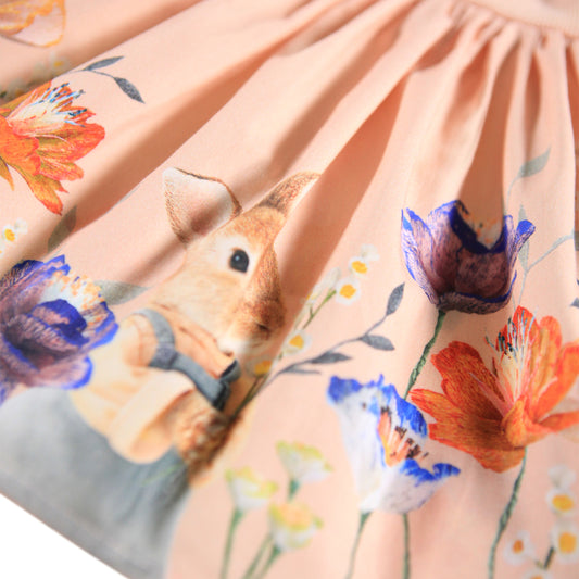 Carin Rosey bunny Dress