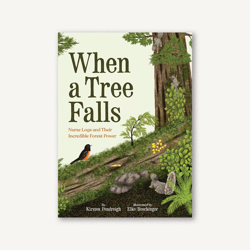When a Tree Falls - Nurse Logs and Their Incredible Forest Power