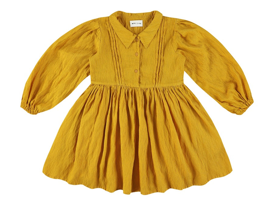Robin Pleated Dress