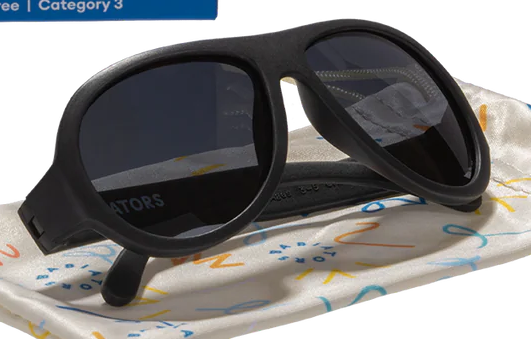 Jet Black Aviator I Smoke Lenses