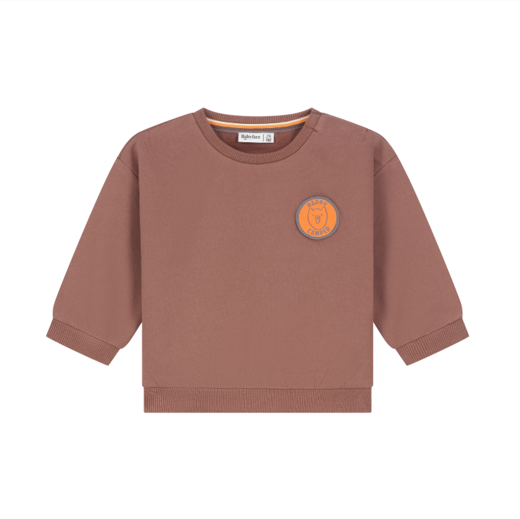 Plain Brown Cozy Sweatshirt