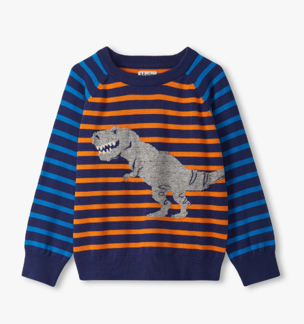 Dino Mixed Stripes Raglan Sweater