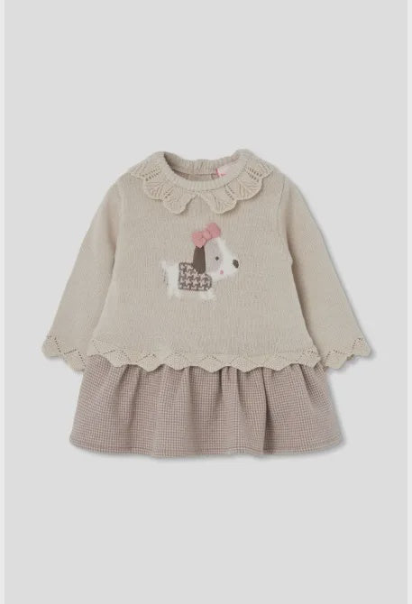 Collar Knit Dress Puppy