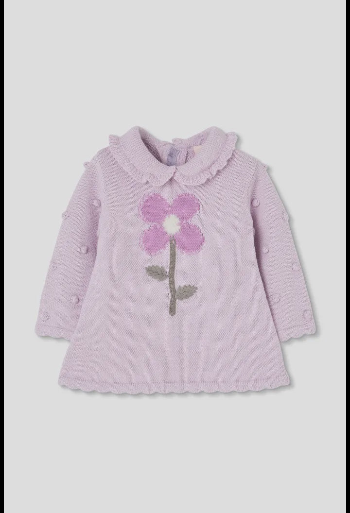 Lilac Collar Knit Dress