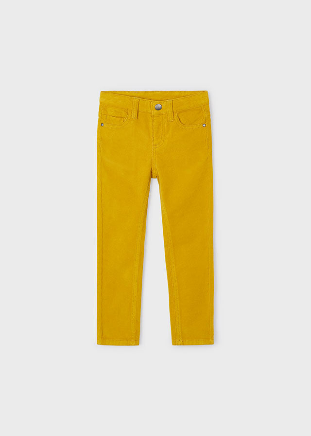 Corduroy Pant / 537