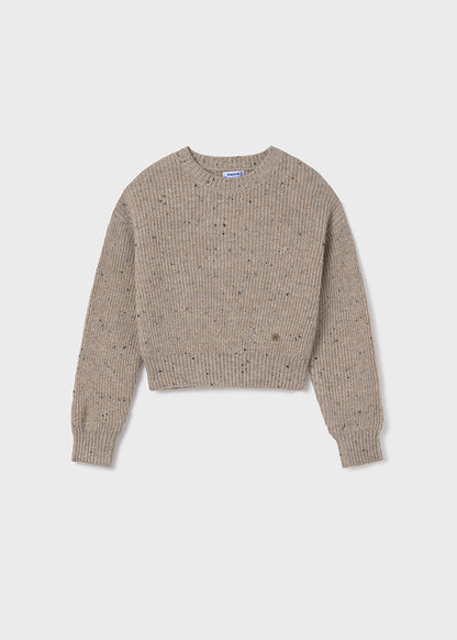 Speckled Sweater / 7305