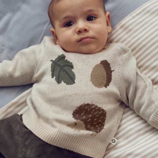 Acorn Sweater Crew