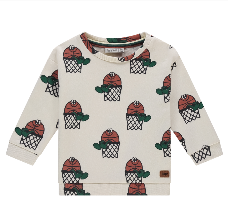 Basket Ball In Net Pullover