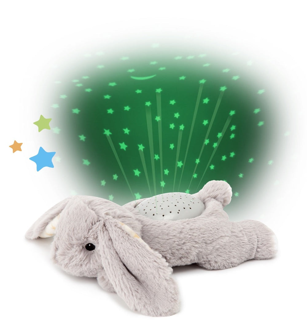Dream Buddies™ - Benny Bunny