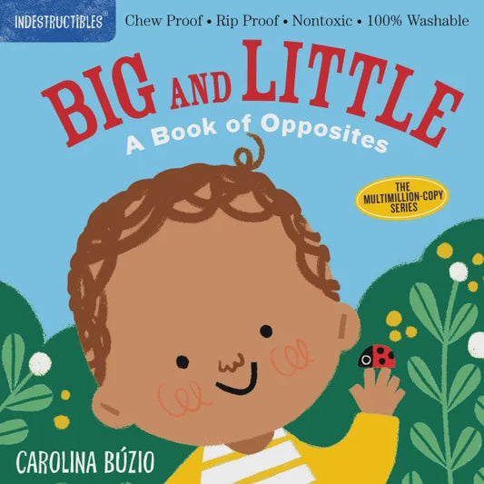 Big and Little A Book Of Opposites - indestructibles