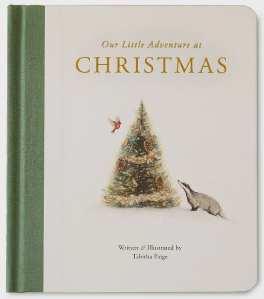 Our Little Adventure at Christmas