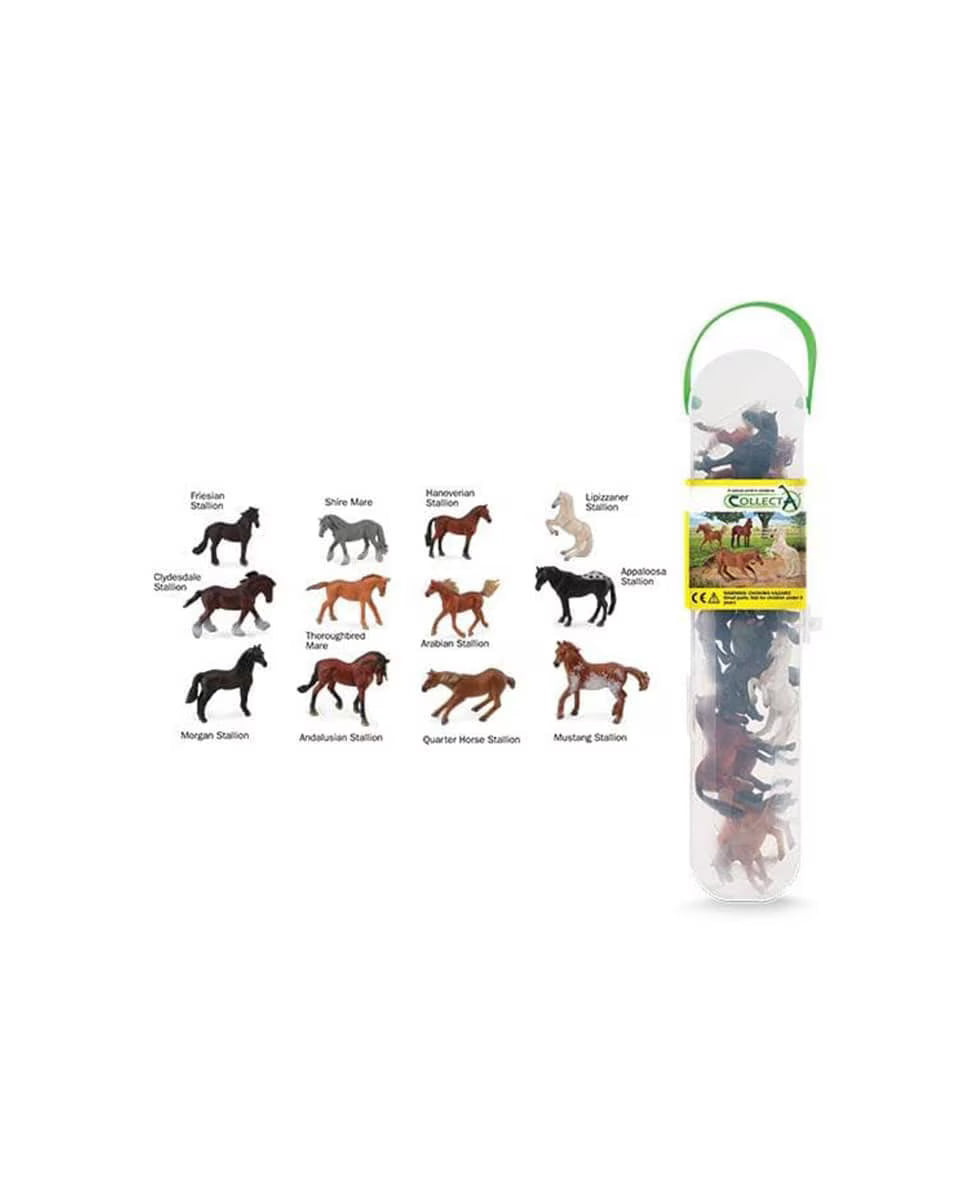 Mini Horses Box