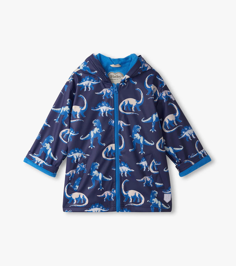 Painted Dinos Color Changing Rain Coat