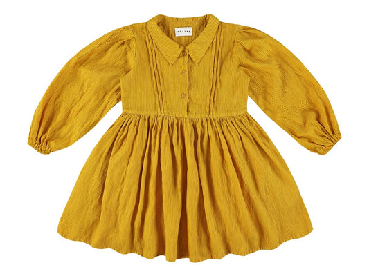 Robin Pleated Dress