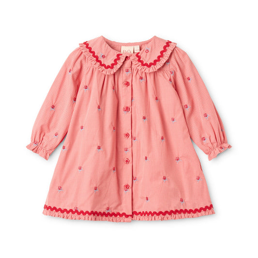 Rose Details Gingham Buttoned Toddler Dress
