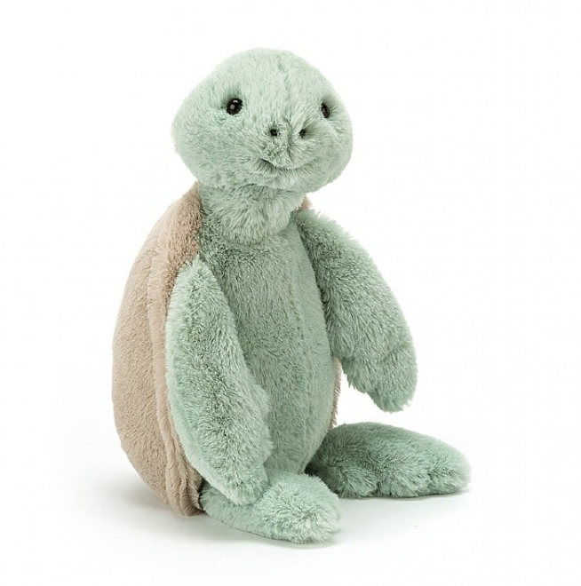 Bashful Turtle Medium