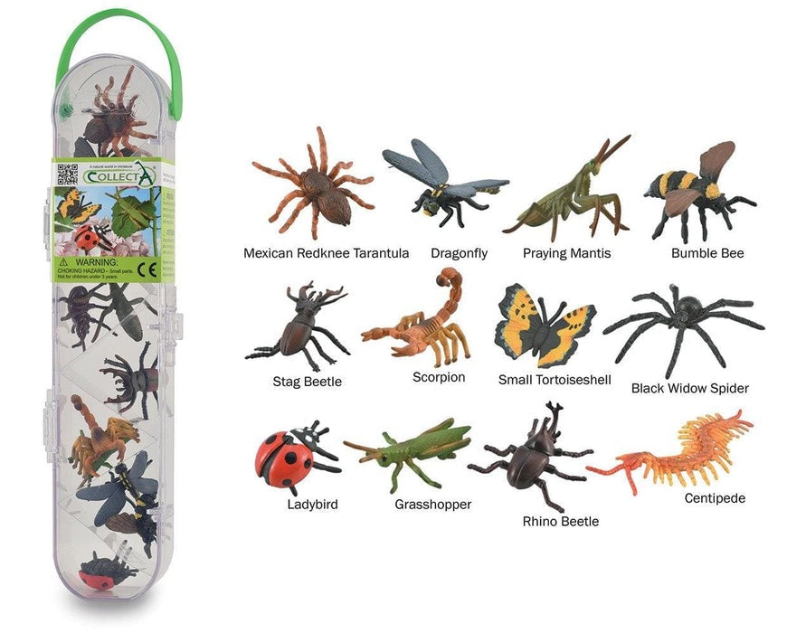 Mini Insects Box – The Red Balloon Company