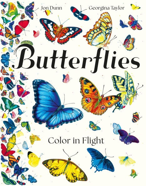 Butterflies: Color in Flight