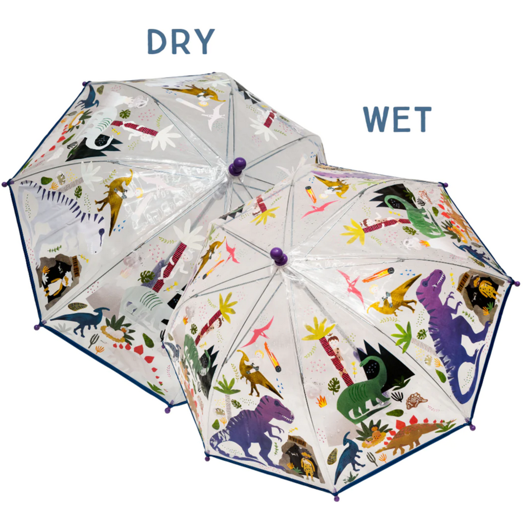 Transparent Colour Changing Umbrella