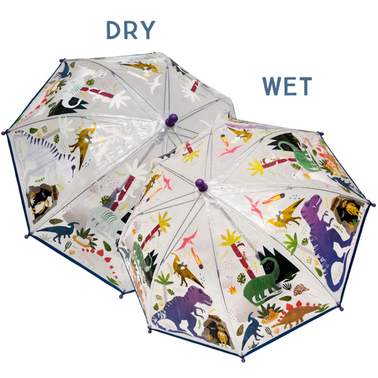 Transparent Colour Changing Umbrella