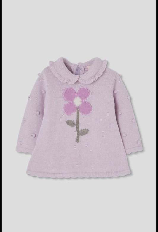 Lilac Collar Knit Dress