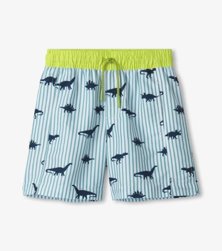 Dino stripes swim trunks