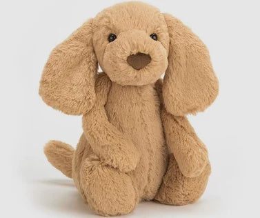 Bashful Puppy Toffee Original Med