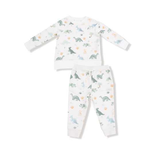 Soft Dinos Baby Sweat Set