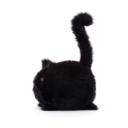 Black Kitten Caboodle